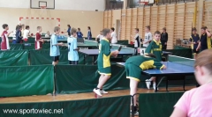 Tenis stołowy indywidualny i drużynowy