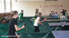 Tenis stołowy indywidualny i drużynowy
