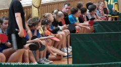 Tenis stołowy indywidualny i drużynowy