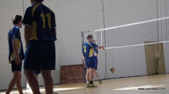 Liecealida - Piłka siatkowa chłopców