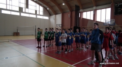 Liecealida - Piłka siatkowa chłopców