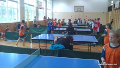 IMS - tenis stołowy drużynowy