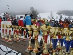 XII Mistrzostwa Powiatu Brzeskiego w Narciarstwie Alpejskim i Snowboardzie