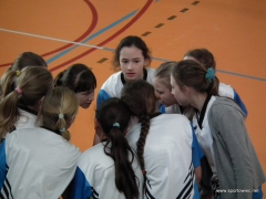 IMS-Mini piłka siatkowa dziewcząt