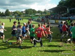 IMS, Gimnazjada-Indywidualne Biegi Przełajowe