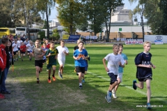 IMS, Gimnazjada-Biegi Przełajowe