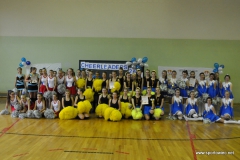 Gimnazjada - Finał Wojewódzki Cheerleaders 