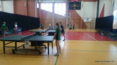 Licealiada-Tenis stołowy