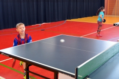I Mistrzostwa Powiatu Brzeskiego w Tenisie Stołowym
