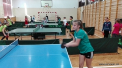 IMS - Tenis stołowy indywidualny i drużynowy