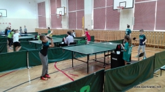 IMS - Tenis stołowy indywidualny i drużynowy