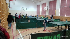 IMS - Tenis stołowy indywidualny i drużynowy
