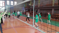 IMS - Mini piłka siatkowa 