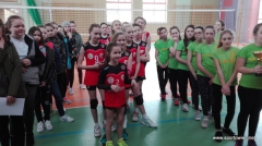 IMS - Mini piłka siatkowa 