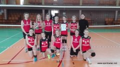 IMS - Mini piłka siatkowa 