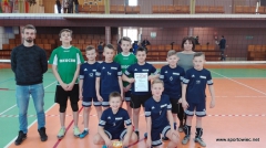 IMS - Mini piłka siatkowa 