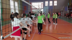 IMS - Mini piłka siatkowa 