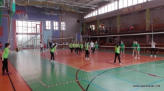 IMS - Mini piłka siatkowa 