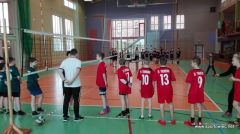 IMS - Mini piłka siatkowa 