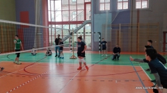 IMS - Mini piłka siatkowa 