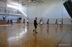 IMS - Mini piłka ręczna chłopców