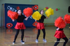 Mistrzostwa Powiatu Brzeskiego Cheerleaders.