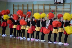 Mistrzostwa Powiatu Brzeskiego Cheerleaders.