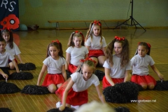 Mistrzostwa Powiatu Brzeskiego Cheerleaders.