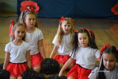 Mistrzostwa Powiatu Brzeskiego Cheerleaders.
