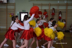 Mistrzostwa Powiatu Brzeskiego Cheerleaders.