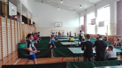 IMS: Tenis stołowy indywidualny 