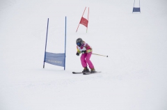 XVI Mistrzostwa Powiatu Brzeskiego w Narciarstwie Alpejskim