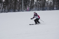 XVI Mistrzostwa Powiatu Brzeskiego w Narciarstwie Alpejskim