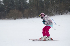 XVI Mistrzostwa Powiatu Brzeskiego w Narciarstwie Alpejskim