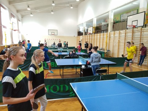 Tenis stołowy drużynowy