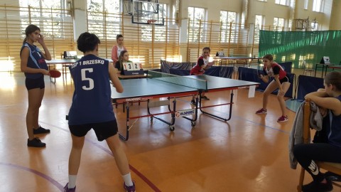Tenis stołowy szkół ponadgimnazjalnych