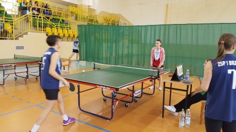 Tenis stołowy szkół ponadgimnazjalnych
