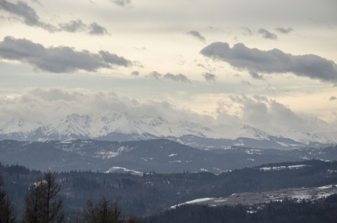 Mistrzostwa Powiatu Brzeskiego w Narciarstwie Alpejskim - Kluszkowce, 25.02.2020 r.