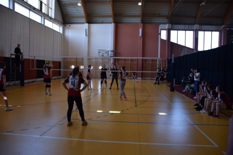 Licealiada: Piłka Siatkowa Dziewcząt i Chłopców - 23.03.2022r.