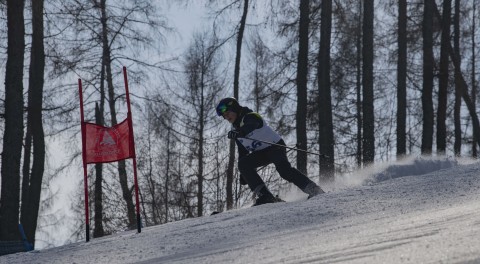 XIX Mistrzostwa Powiatu Brzeskiego w Narciarstwie Alpejskim