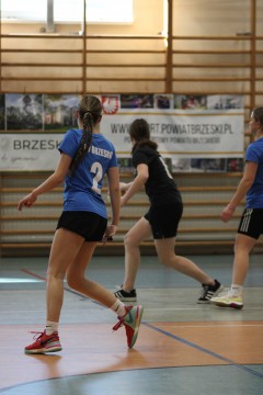 Mistrzostwa Powiatu Brzeskiego w Piłce Ręcznej Szkół Ponadpodstawowych