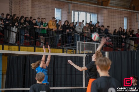 Mistrzostwa Powiatu Brzeskiego w Piłce Siatkowej – Licealiada 2025