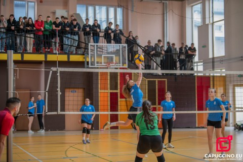 Mistrzostwa Powiatu Brzeskiego w Piłce Siatkowej – Licealiada 2025