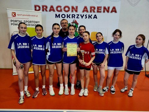 Mistrzostwa Powiatu Brzeskiego w Piłce Ręcznej Dziewcząt i Chłopców