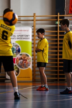 ID: Mistrzostwa Rejonu w Mini Piłce Siatkowej - Brzesko