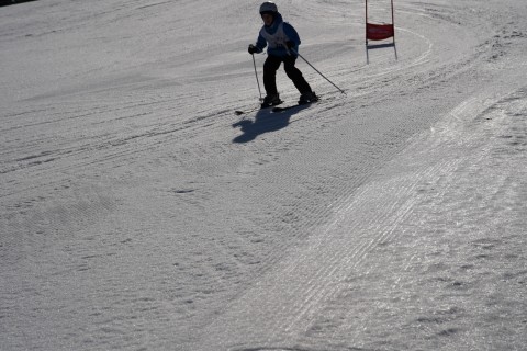 XXII Mistrzostwa Powiatu Brzeskiego w Narciarstwie Alpejskim