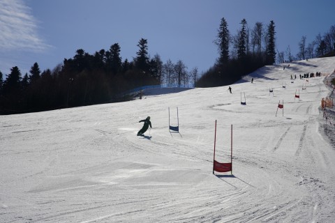 XXII Mistrzostwa Powiatu Brzeskiego w Narciarstwie Alpejskim