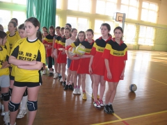 Mini piłka siatkowa dziewcząt - IMS