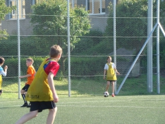 Solna piłka