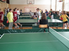 IMS - Tenis stołowy indywidualny